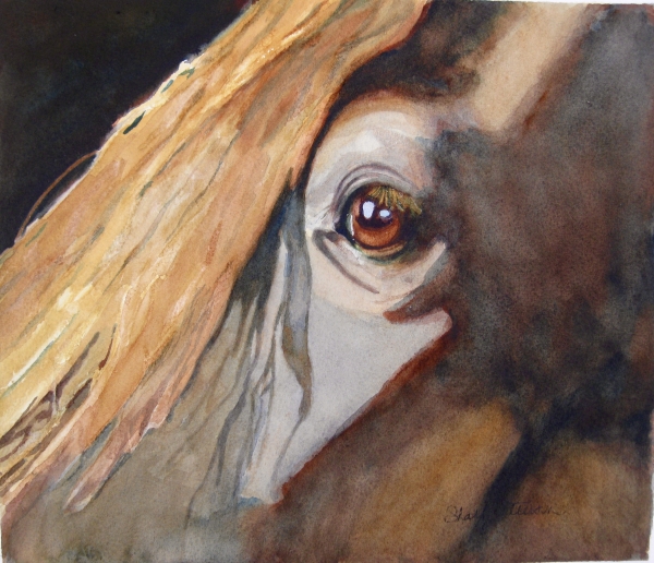 Click here to view Insight by Sharon Peterson